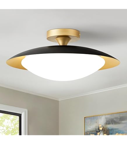 Amazon.com: Dimmable Modern Mid-Century LED Ceiling Light, Black
